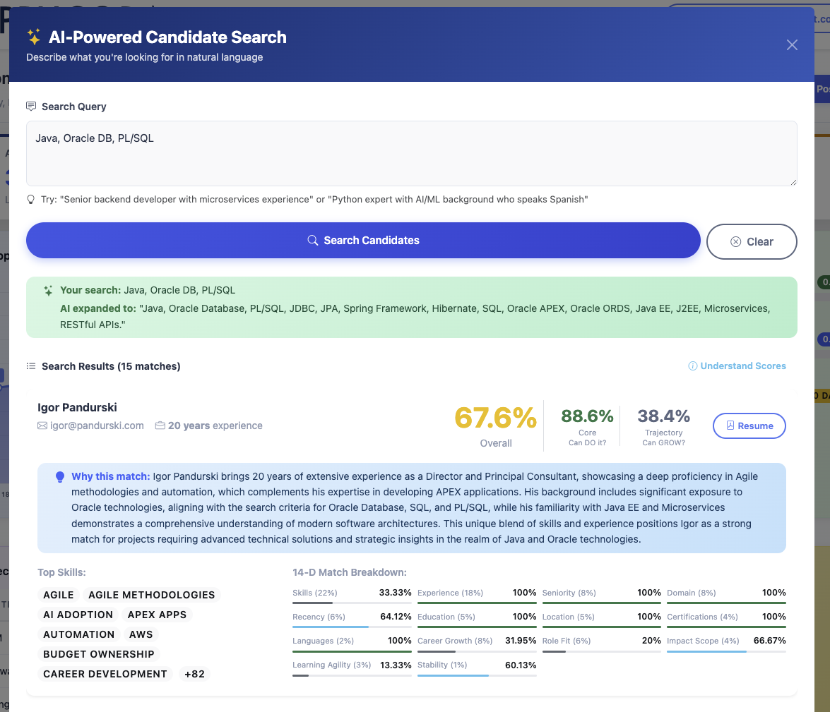 Applicora Business Edition showing detailed candidate match analysis